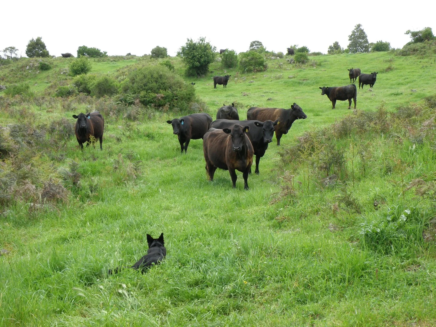 289 Rands Road, Pomborneit North VIC 3260