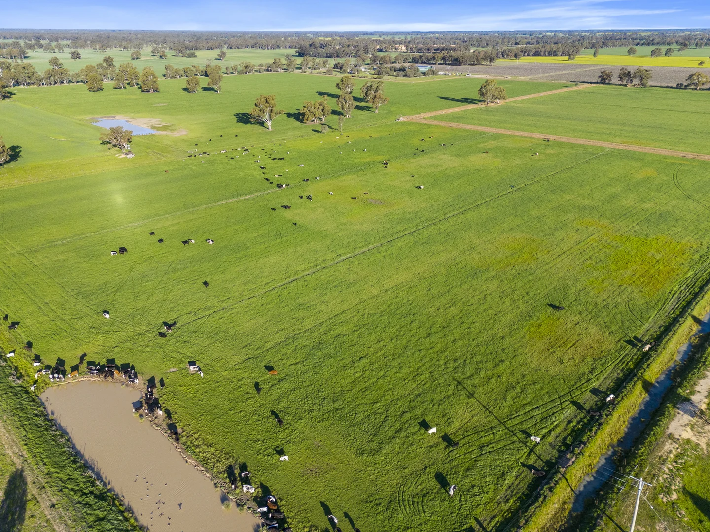 Additional image 8 of 210 Waser Road, Strathmerton VIC 3641