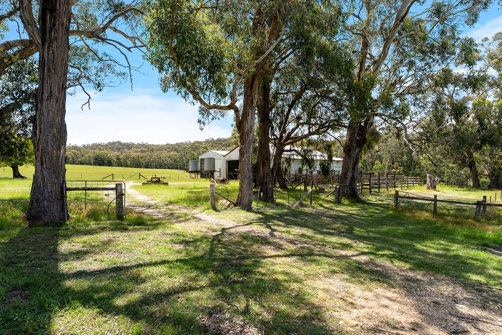 Additional image 19 of 62 and 82 Fitzgerald Road, Bullengarook VIC 3437
