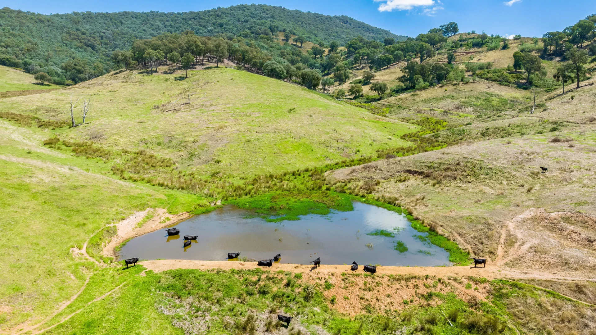 Additional image 12 of "Tom's" Tallys Lane, Tallangatta Valley VIC 3701