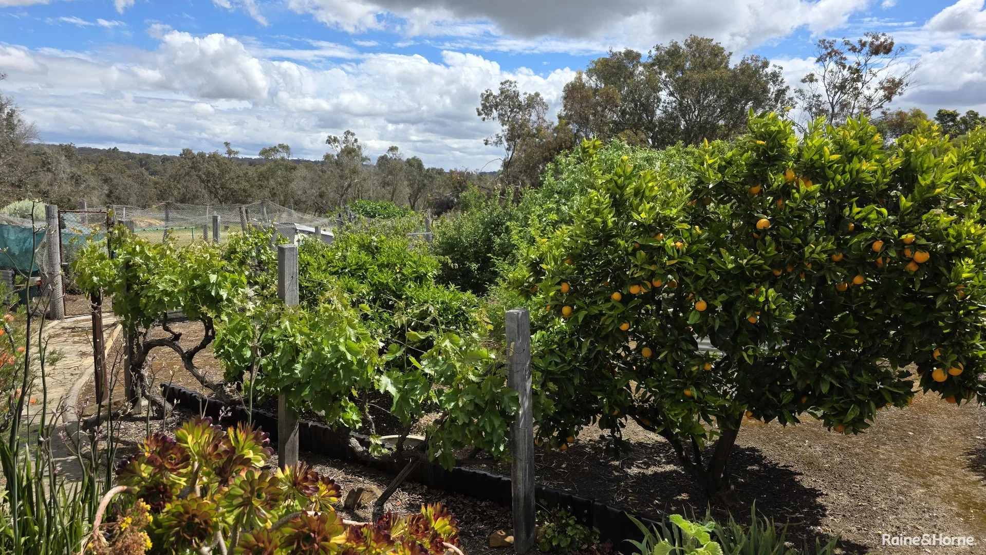 Additional image 20 of 34 Newstead Road, Kojonup WA 6395