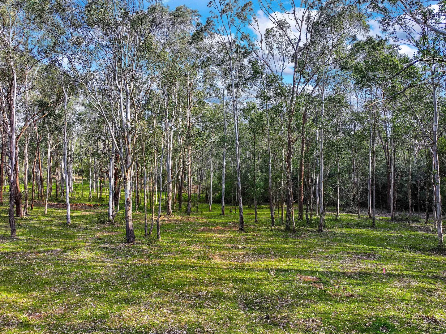 Additional image 5 of 61a - 69a James Street, Wallacia NSW 2745