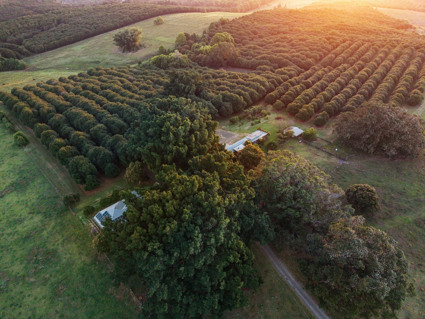 Additional image 3 of 241 Alcorn Road, Knockrow NSW 2479