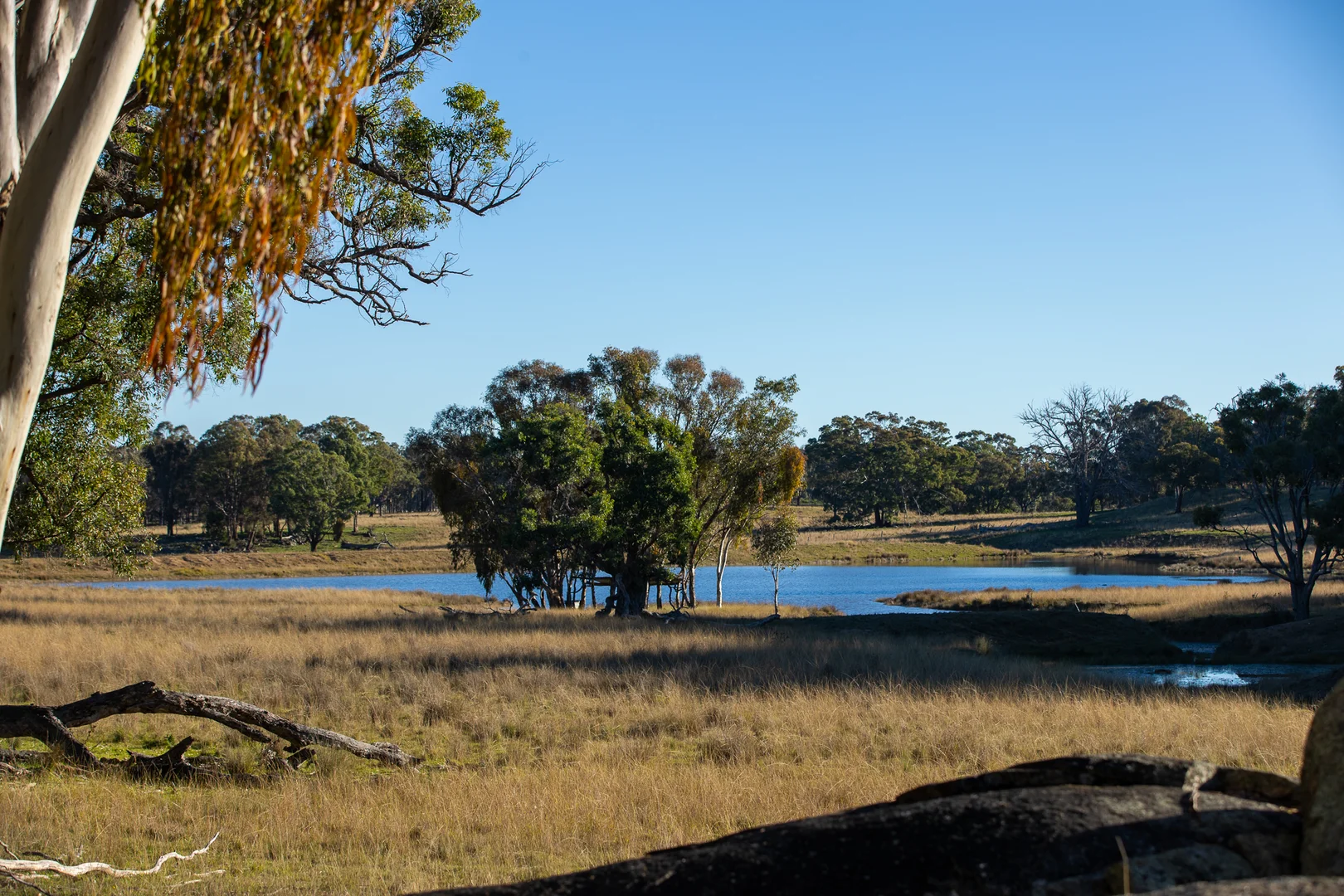 Additional image 17 of 3158 Baldersleigh Road, Guyra NSW 2365
