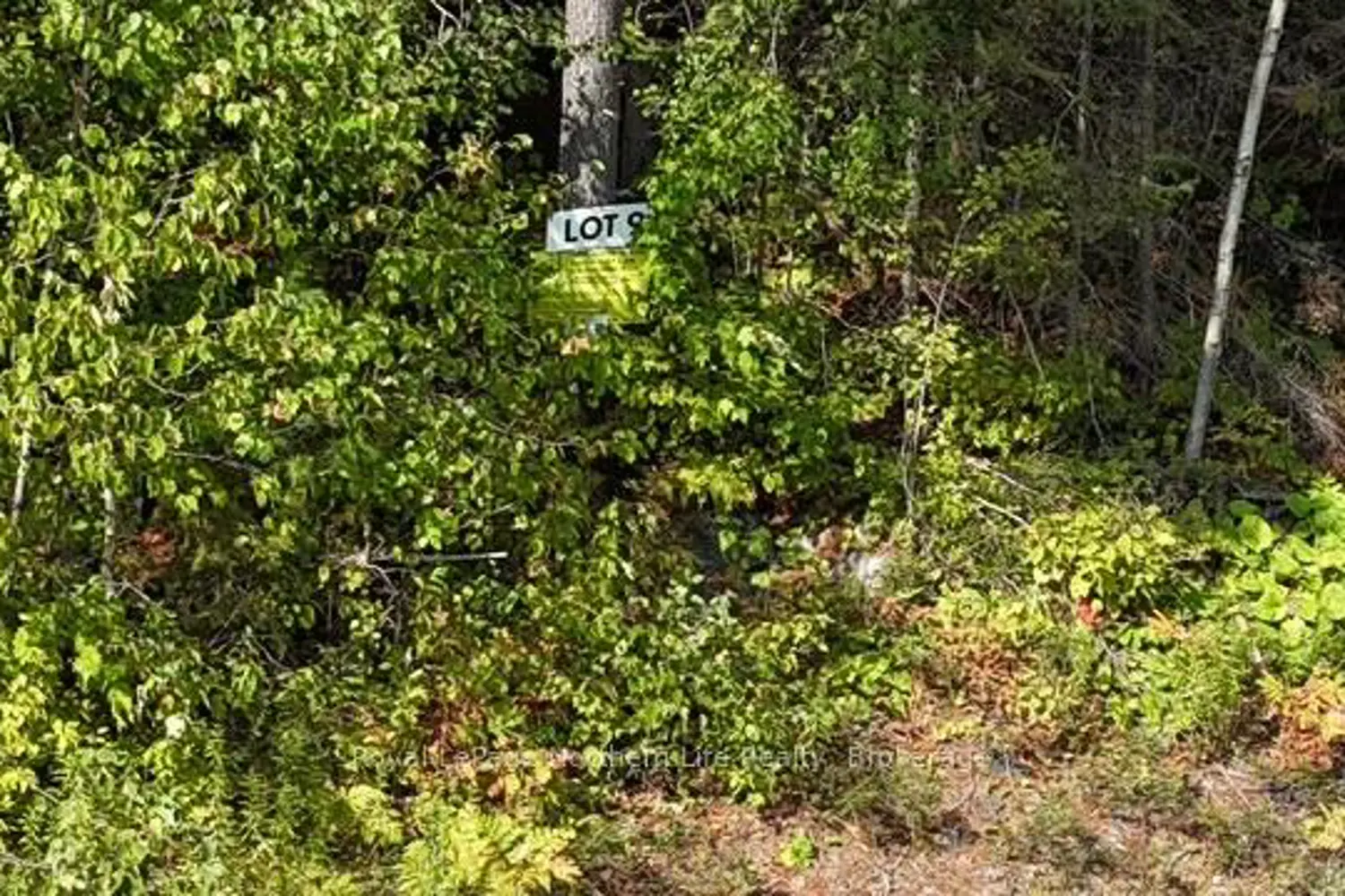 Additional image 2 of Lot 9 Fox Run Drive