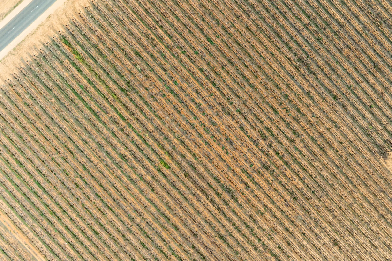 Additional image 12 of Lot 1 Morgan Road, Barmera SA 5345