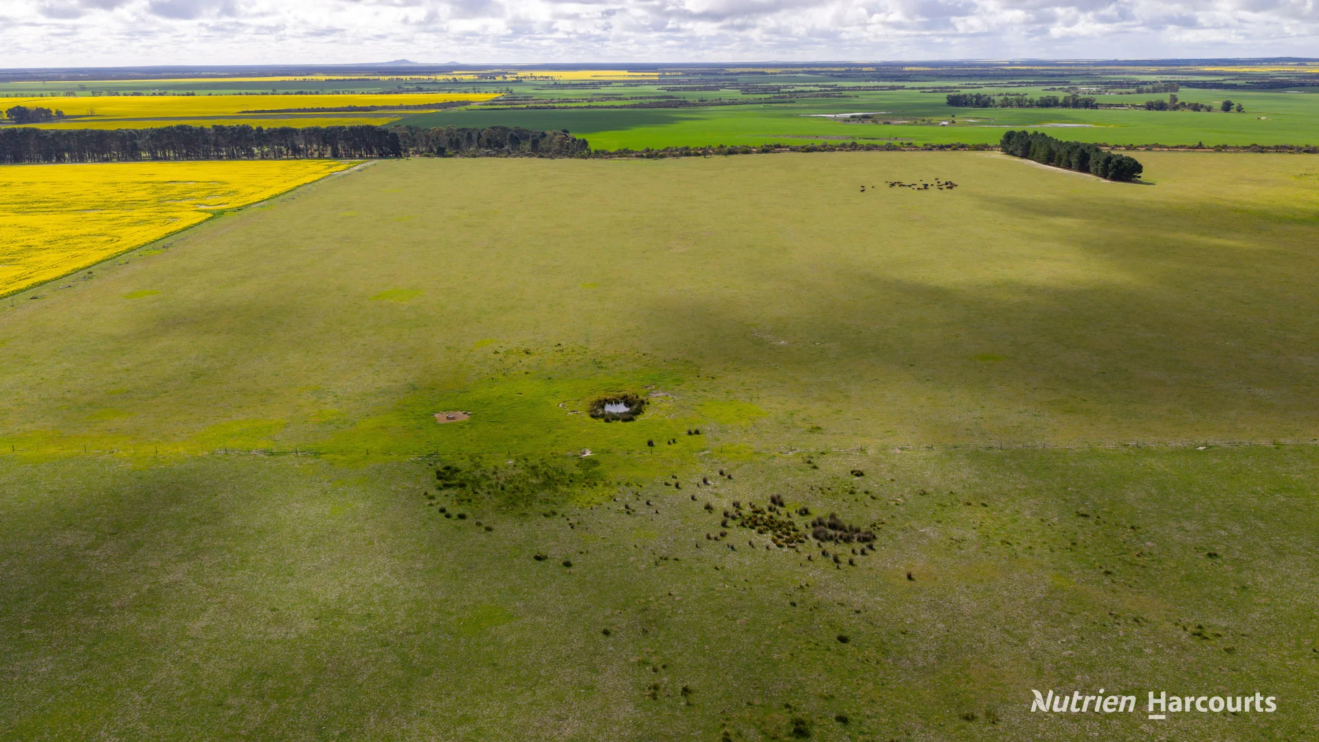 Additional image 13 of 1463 Savage Road, Neridup WA 6450