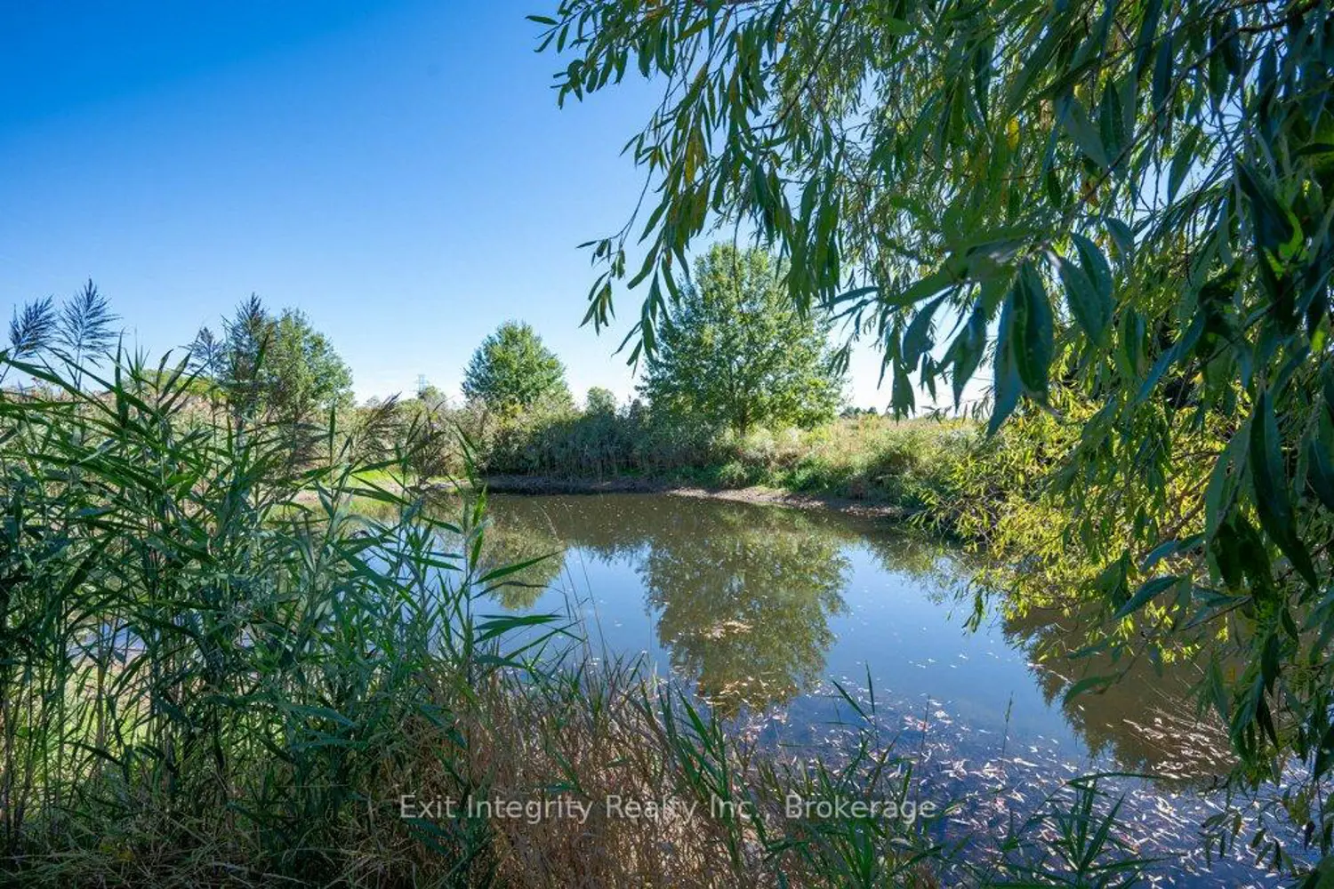 Additional image 17 of 407 Harrisburg Road