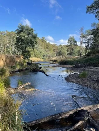 Additional image 9 of - Pages Road, Calder TAS 7325