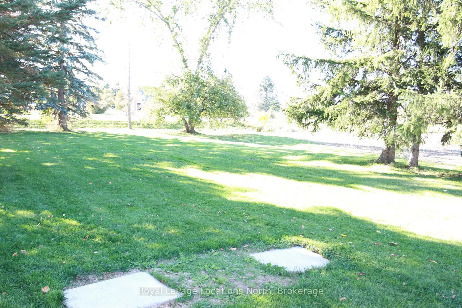 Additional image 6 of 1539 6 Concession