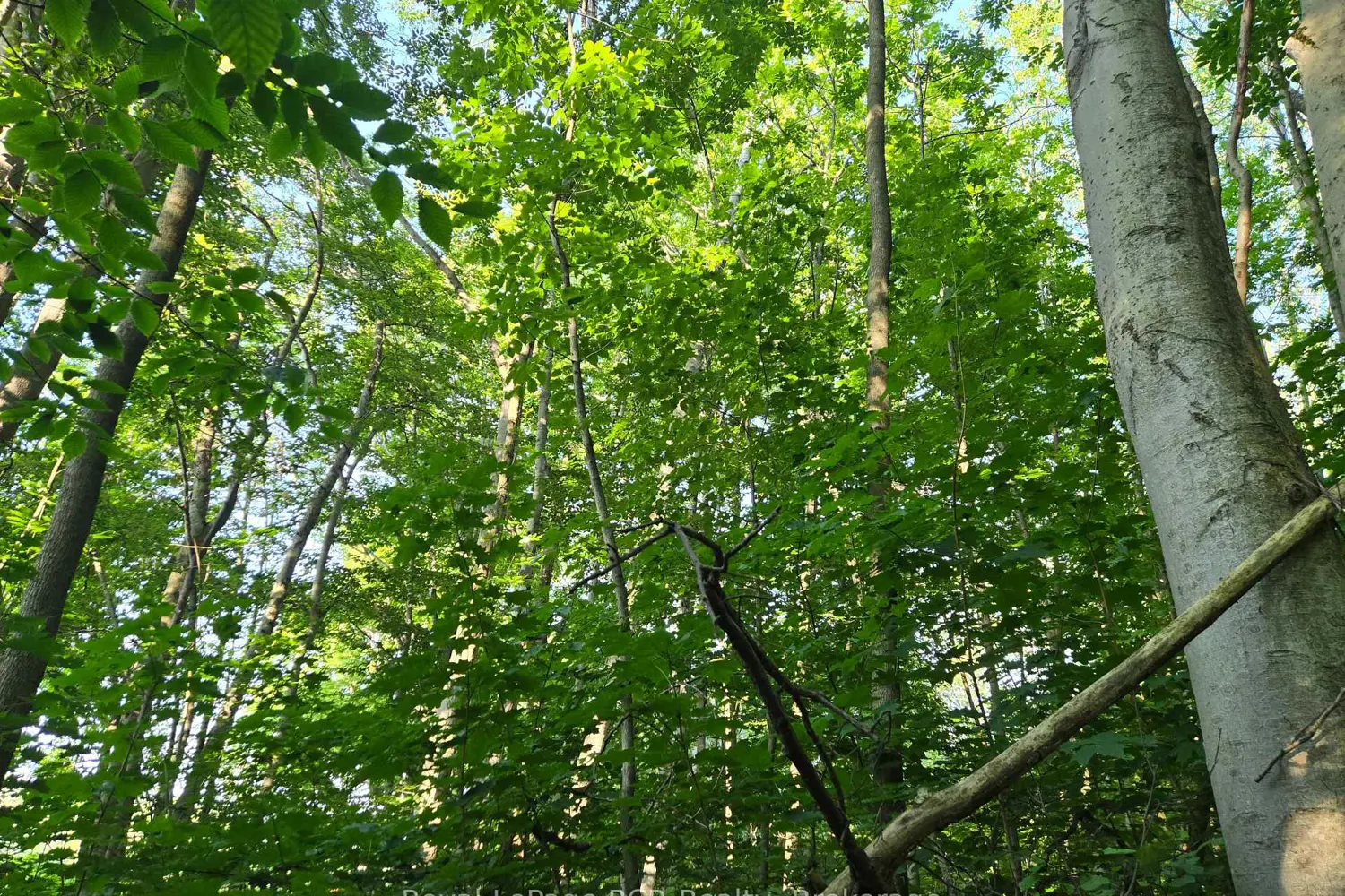 Additional image 7 of 130 Old Highway 26 Highway