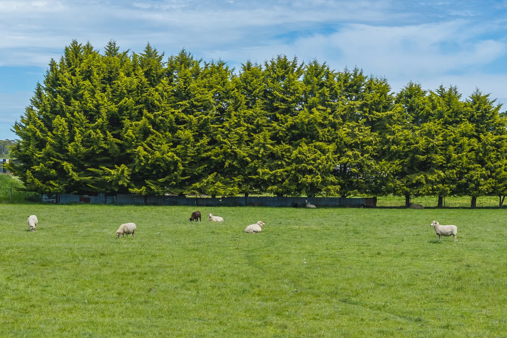 Additional image 27 of 58 Harpers Lane, Kyneton VIC 3444