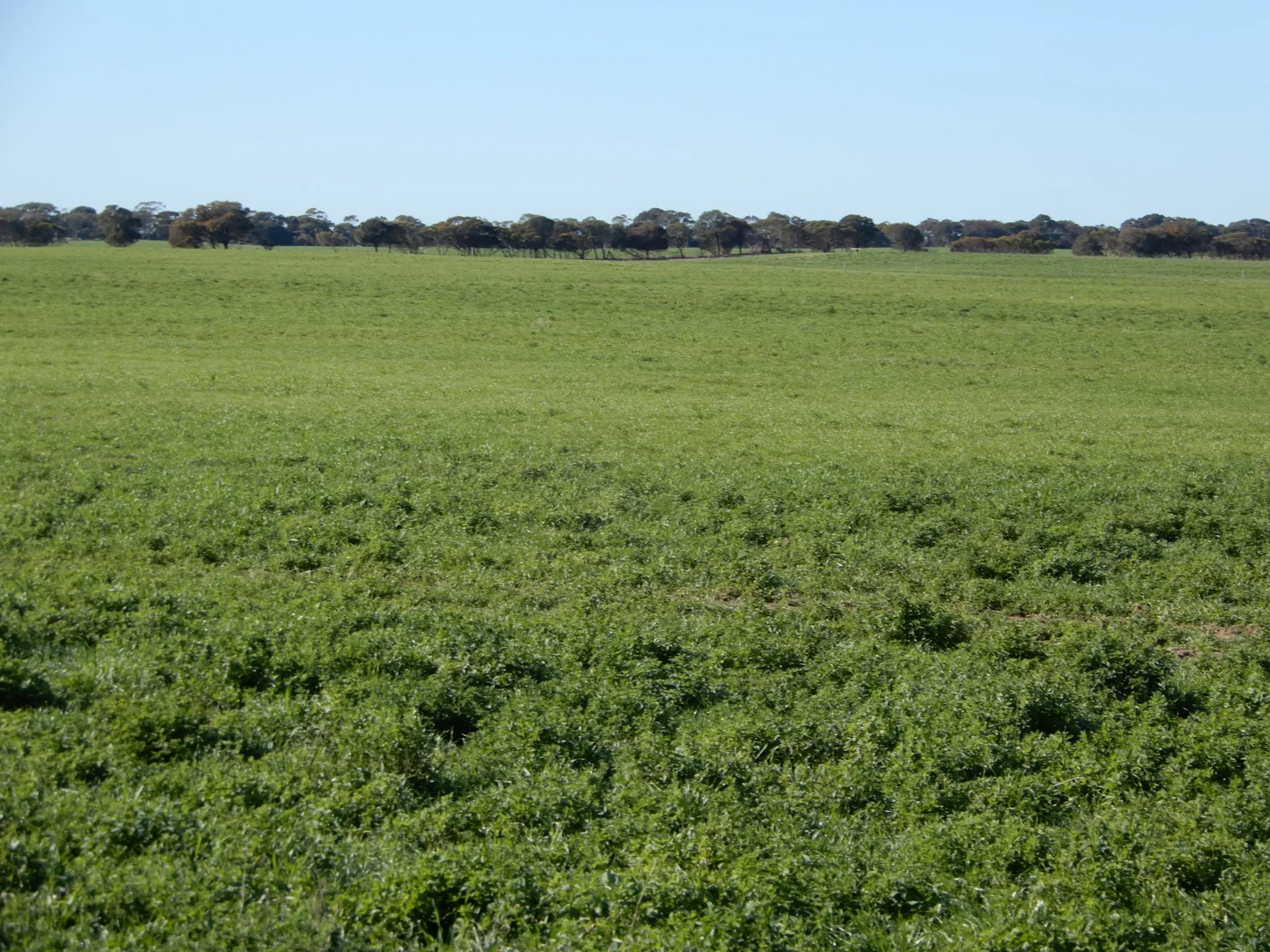 Additional image 24 of 252 Jabez Williams Road, Meningie SA 5264