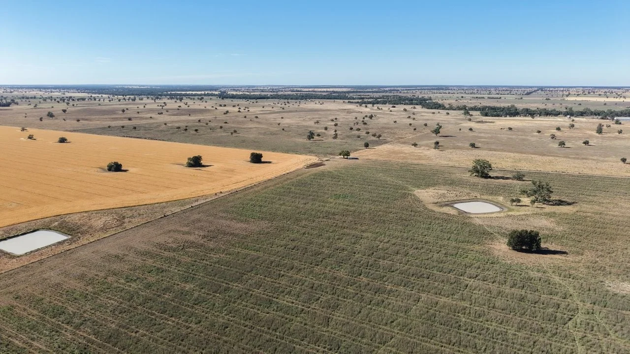 Additional image 13 of 128 Berida-Bullagreen Road, Collie NSW 2827