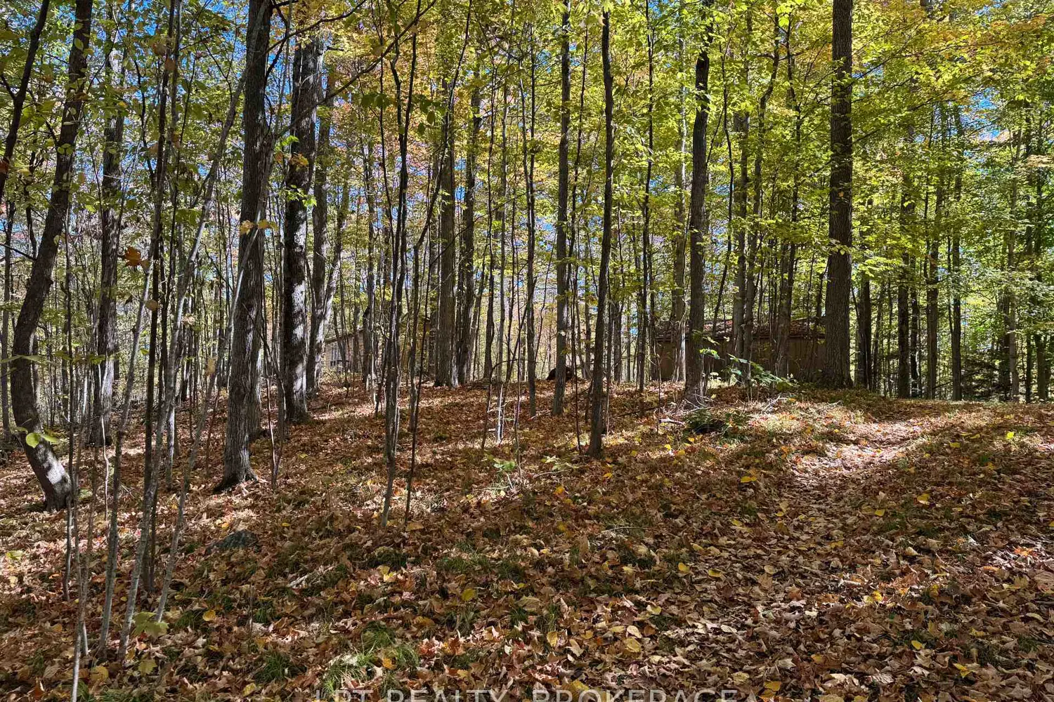 Additional image 15 of 500 Yvon Lane