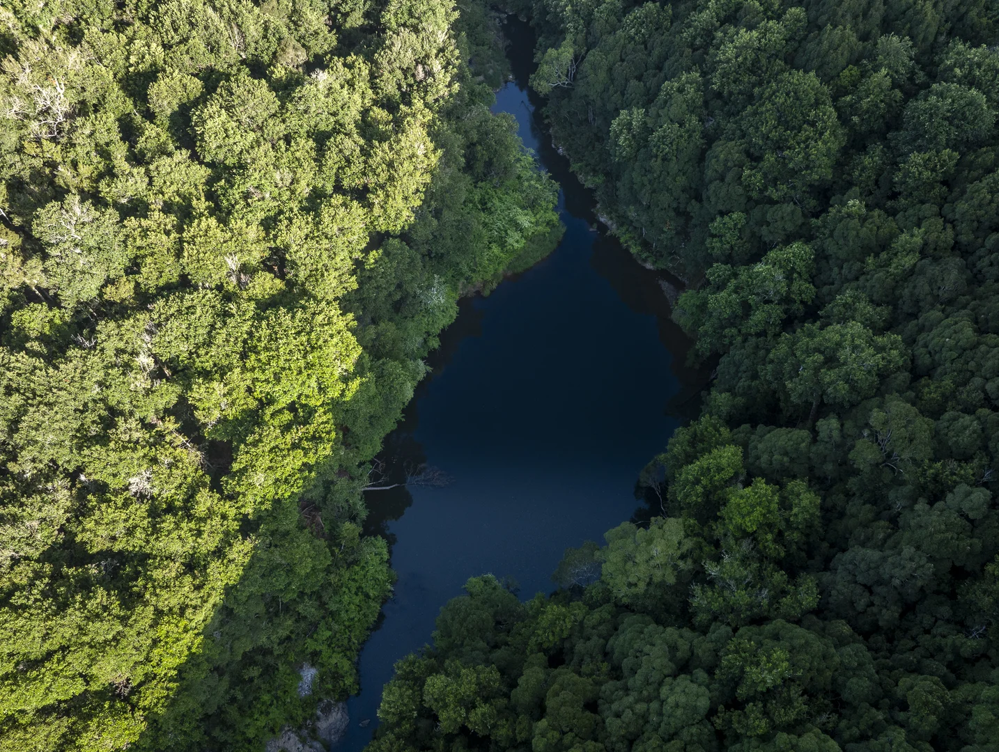 Additional image 22 of 294 Coramba Road, Dorrigo NSW 2453