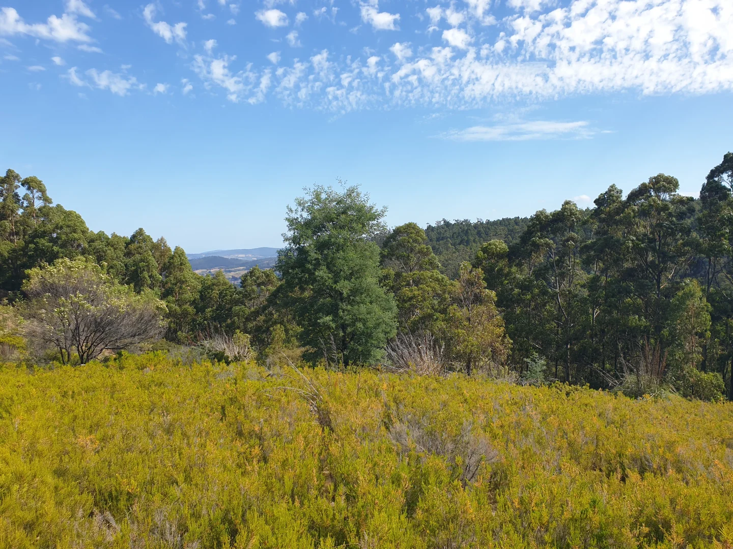 Additional image 5 of Lot 37 Bells Road, Cygnet TAS 7112