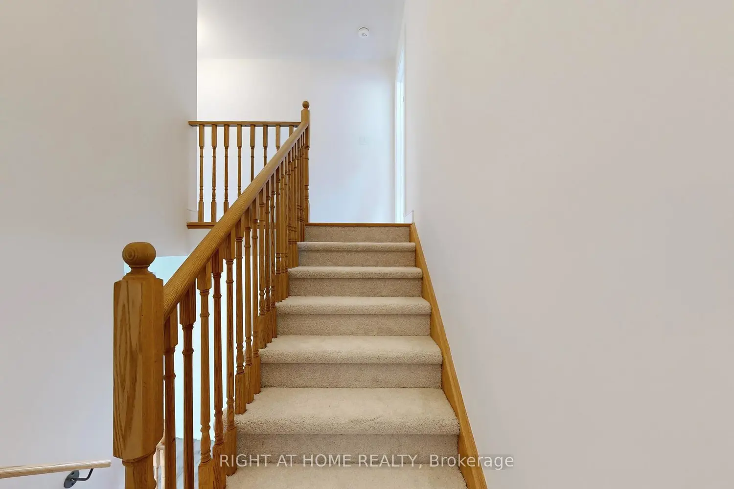 Additional image 14 of 254 Wilcox Drive