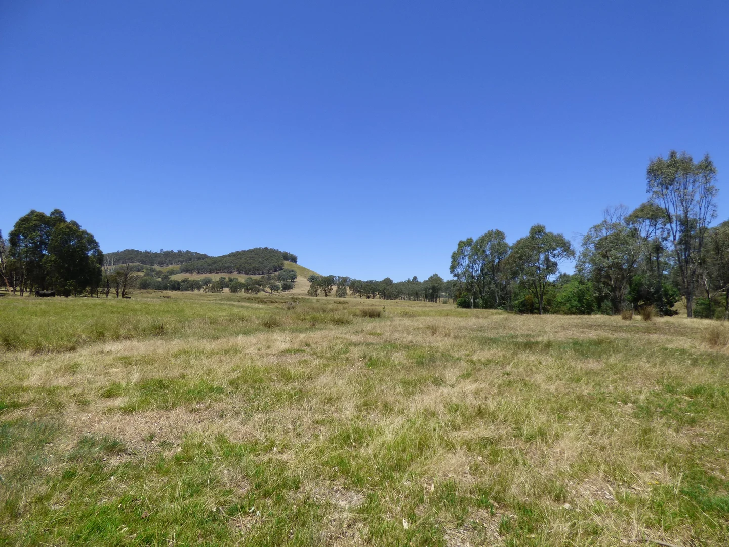 Additional image 15 of 409 McInnes Lane, Bobinawarrah VIC 3678