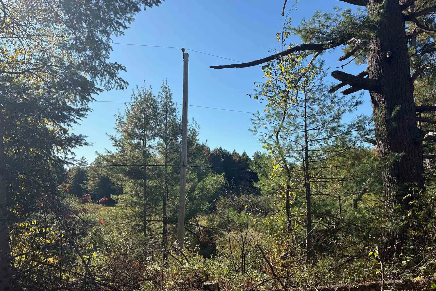 Additional image 13 of N/A Twin Sister Lakes Road
