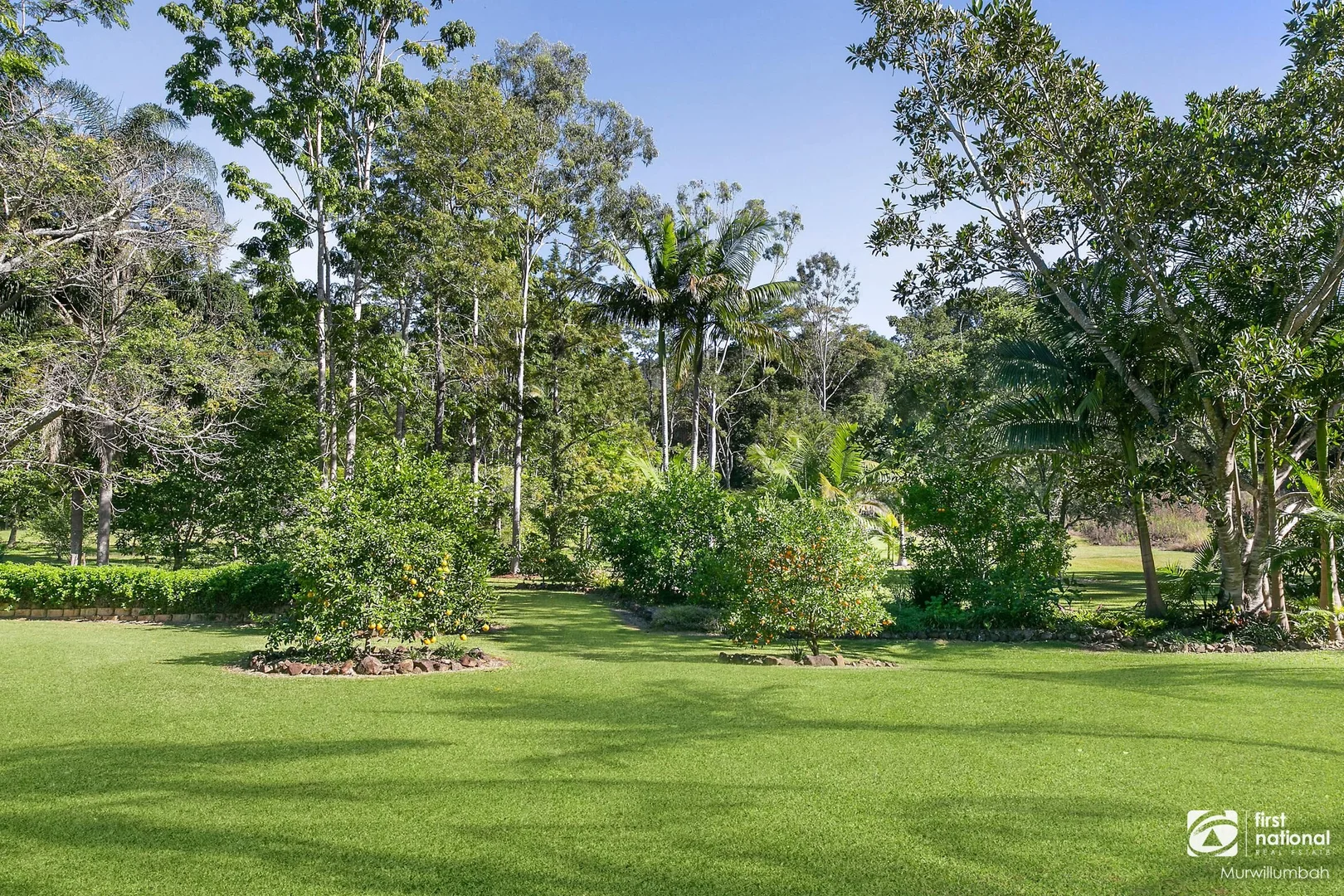 Additional image 46 of 39 Solomons Road, Mount Warning NSW 2484