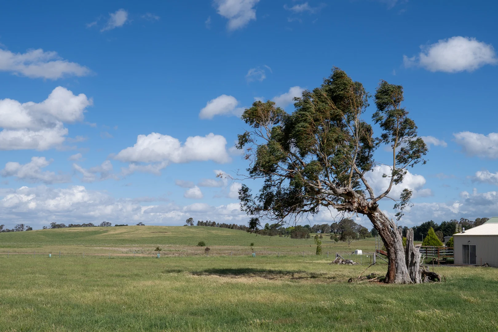 Additional image 2 of 49 Eves Lane, Millthorpe NSW 2798