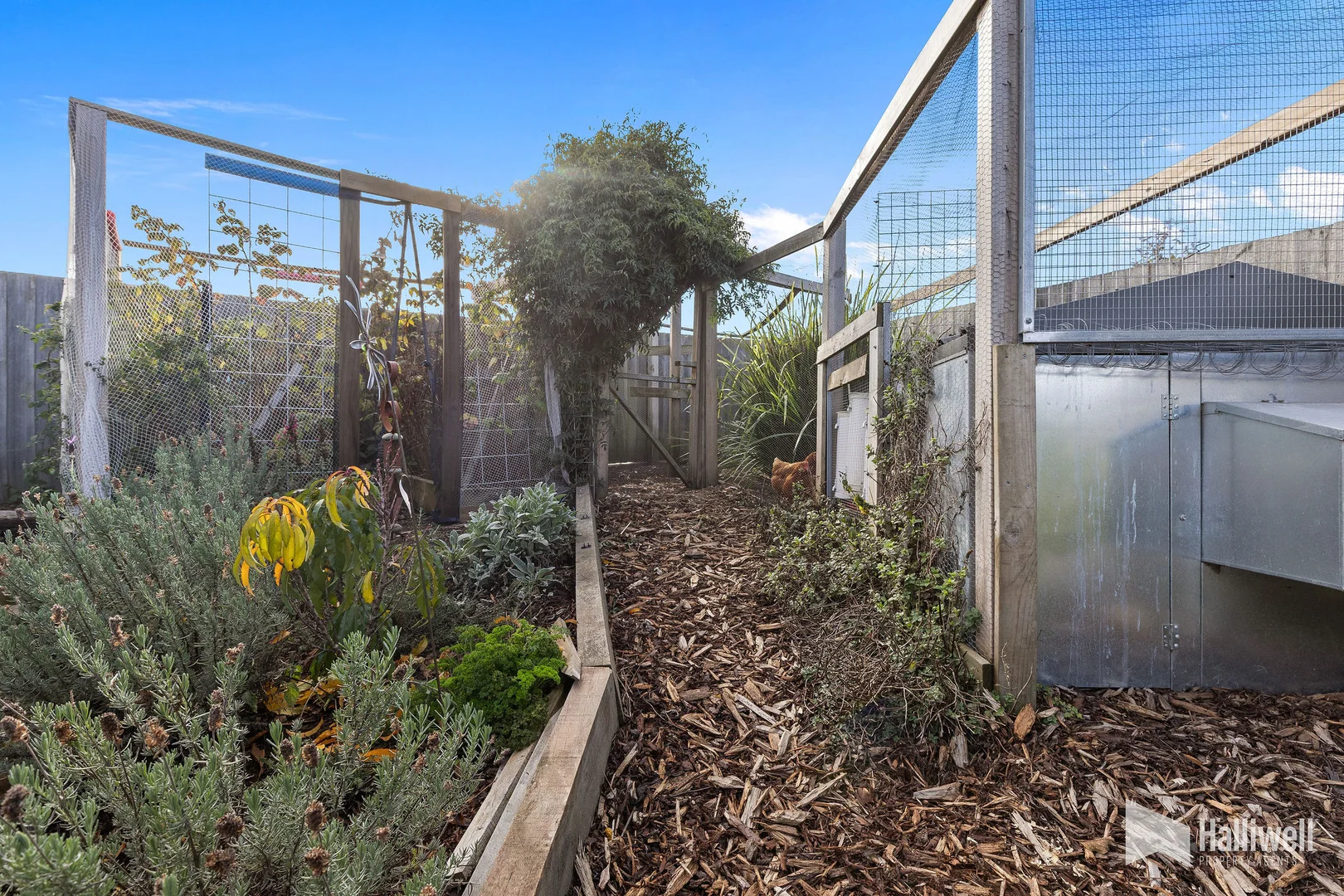 Additional image 28 of 22 Spring Grove, Latrobe TAS 7307