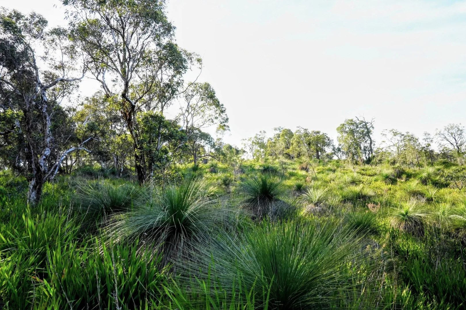 Additional image 7 of 245 Pechey Road, Swan View WA 6056