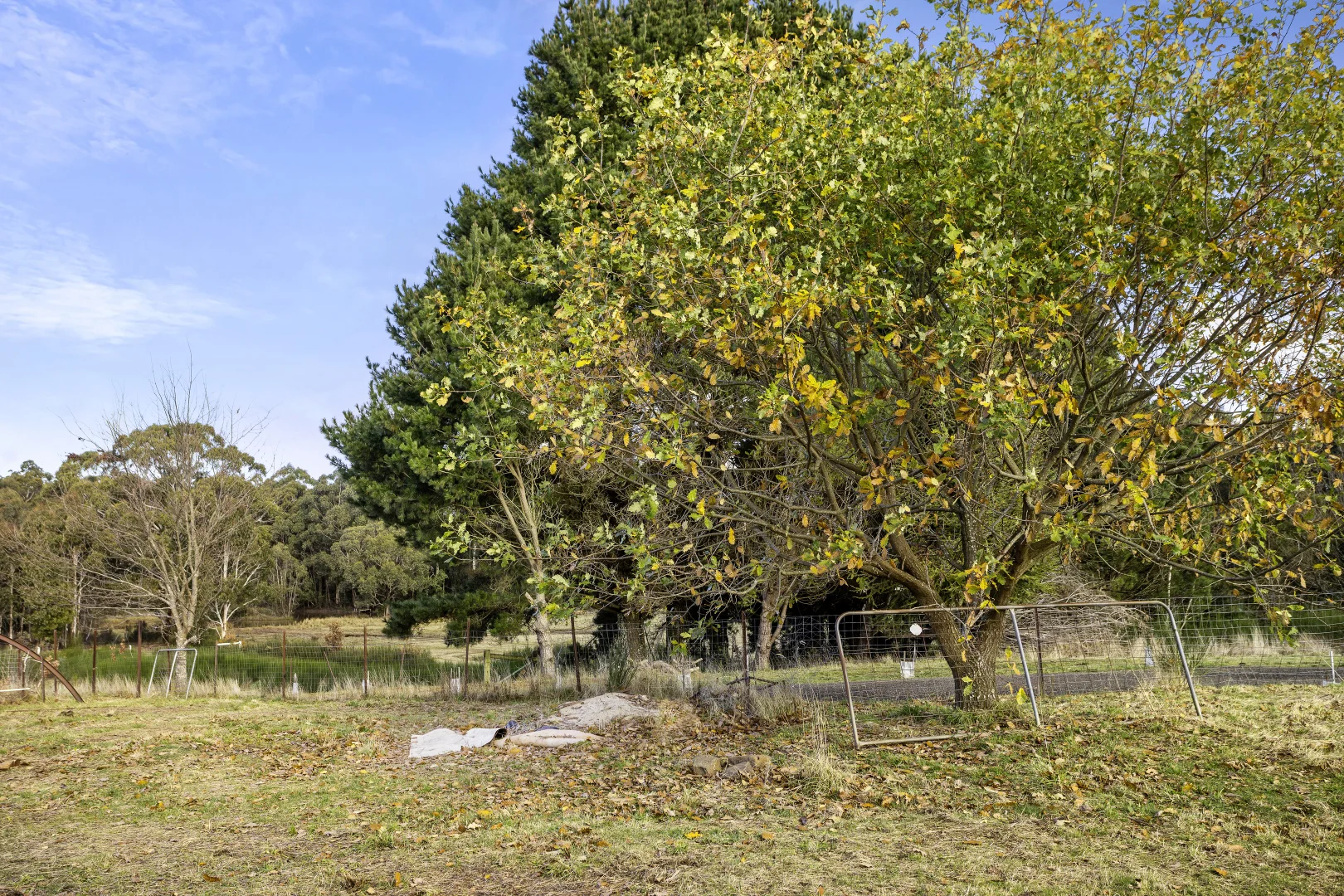 Additional image 19 of 175 Mulcahys Road, Trentham VIC 3458