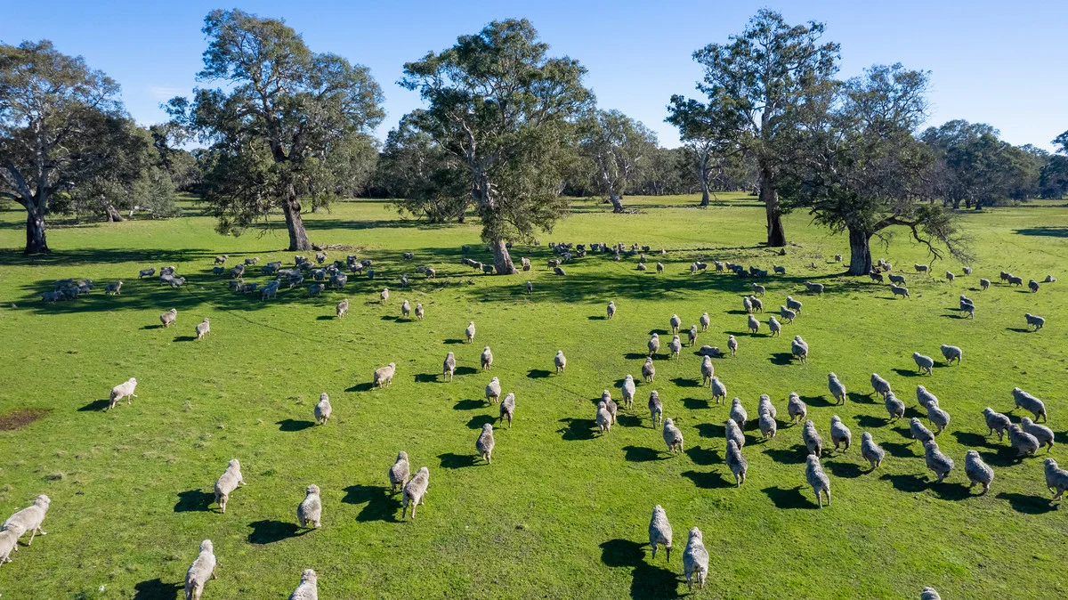 252 Wannon Nigretta Road, Wannon VIC 3301