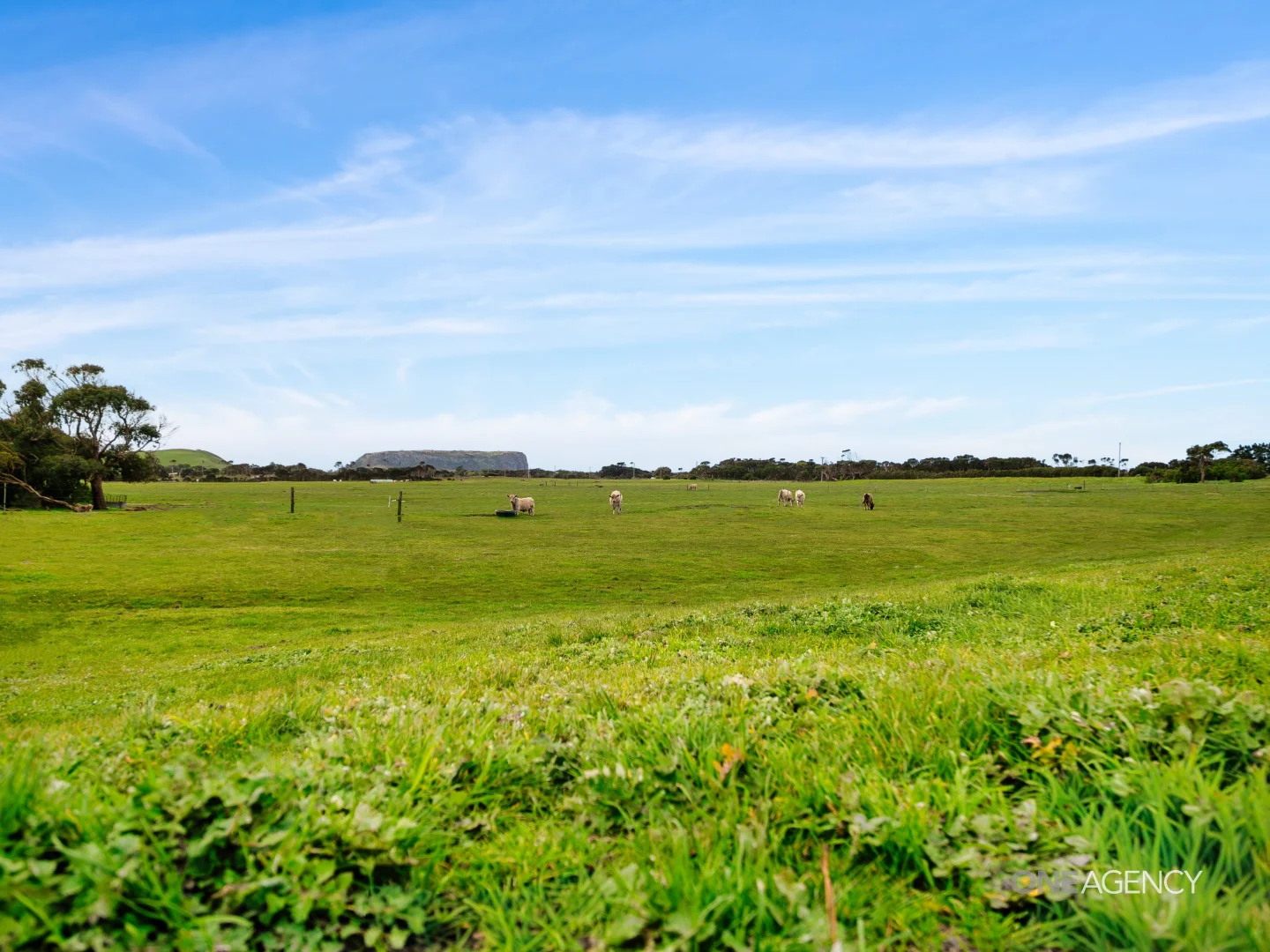 Additional image 13 of 151 Stanley Highway, Stanley TAS 7331