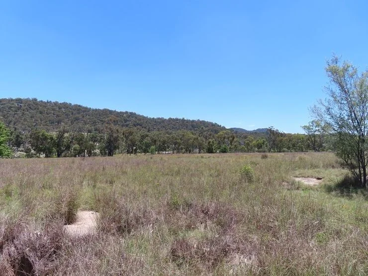 Additional image 20 of Bents Road, Ballandean QLD 4382