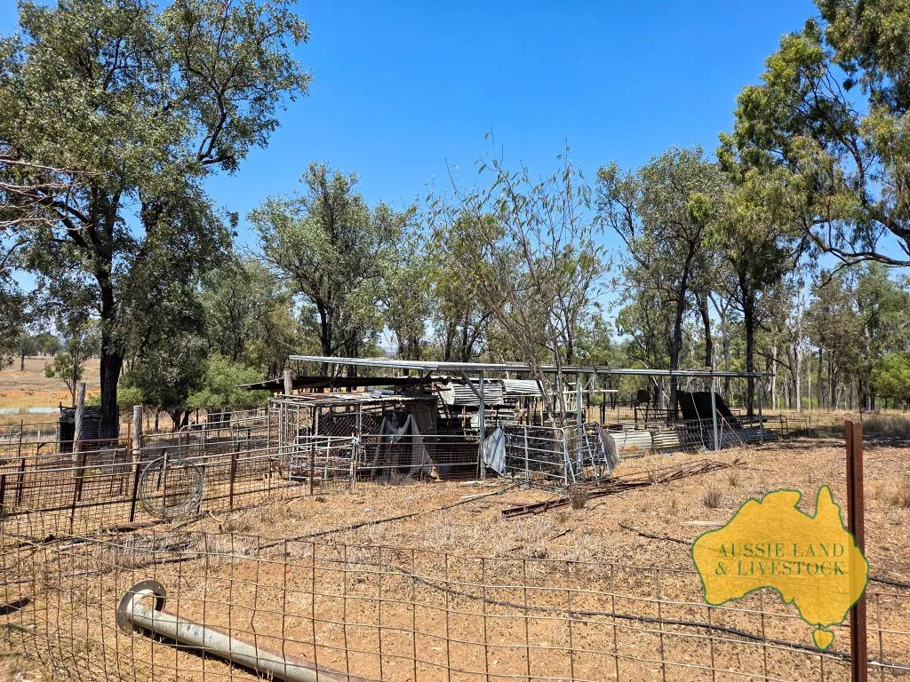 Additional image 16 of 110 BENHAMS ROAD, Mundubbera QLD 4626