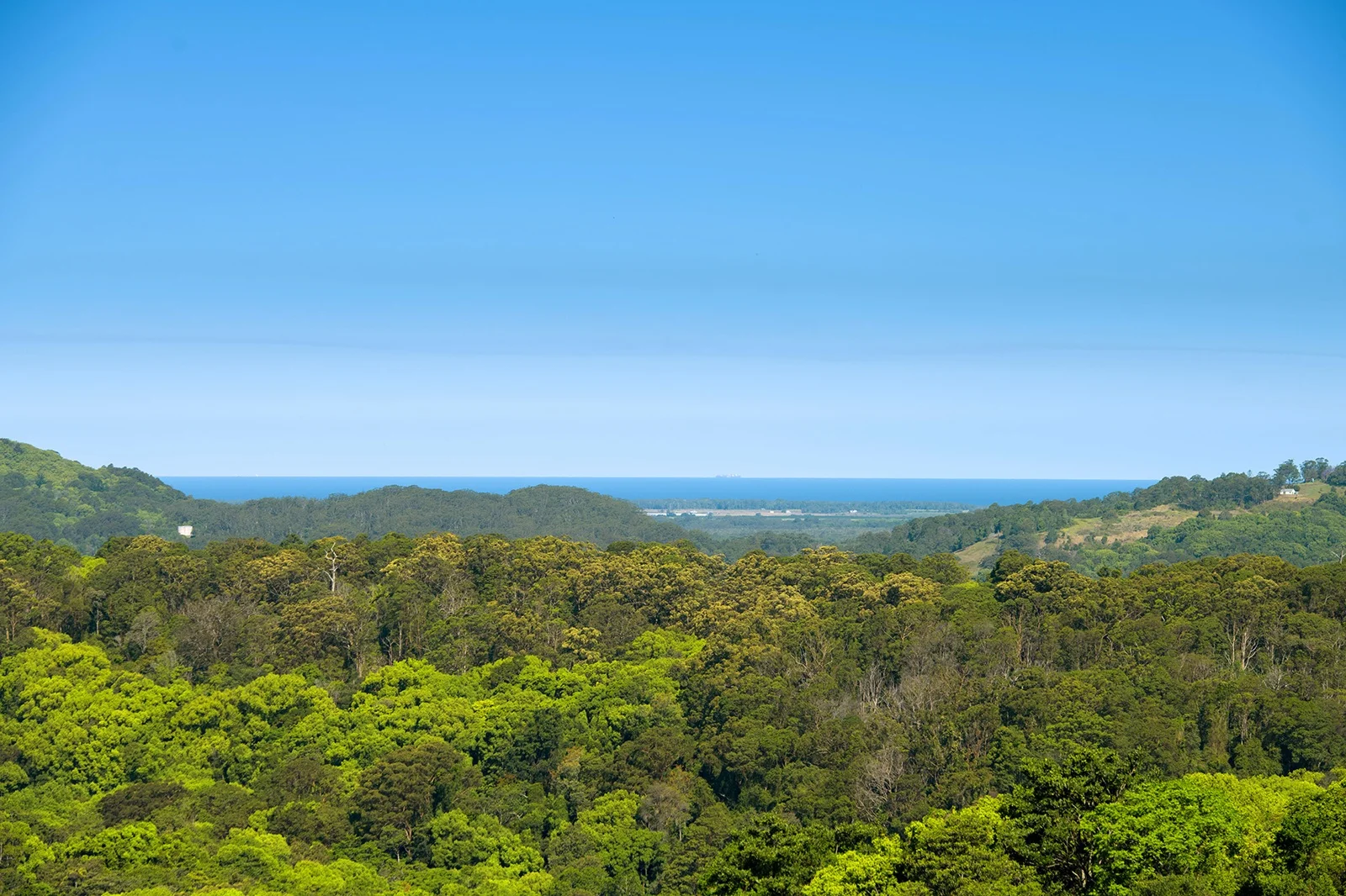 Additional image 5 of Dalwood NSW 2477