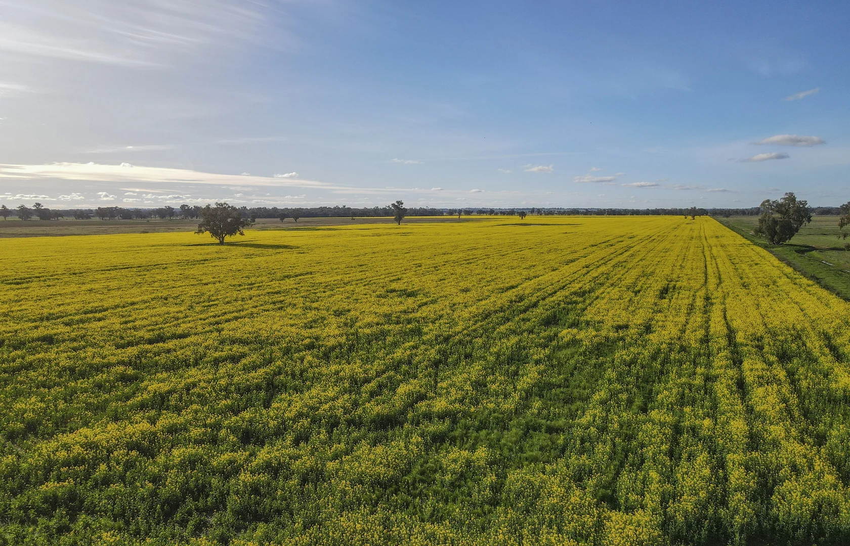 Additional image 21 of 11025 "Lima" The Escort Way, Forbes NSW 2871