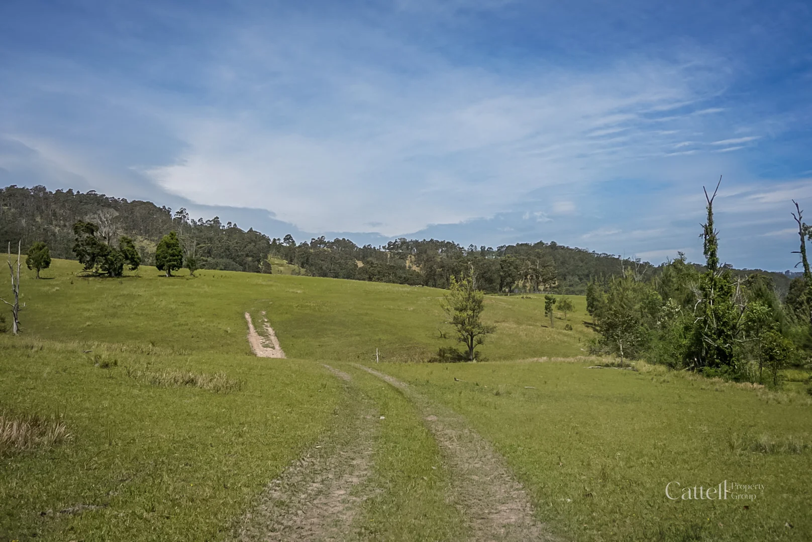 Additional image 31 of 60 Blue Bonnett Road, Lambs Valley NSW 2335