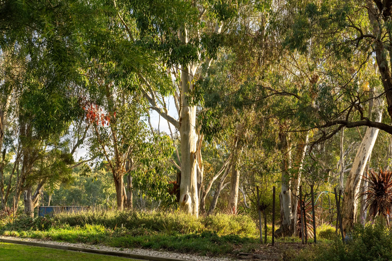 Additional image 19 of 59 Halls Flat Road, Alexandra VIC 3714