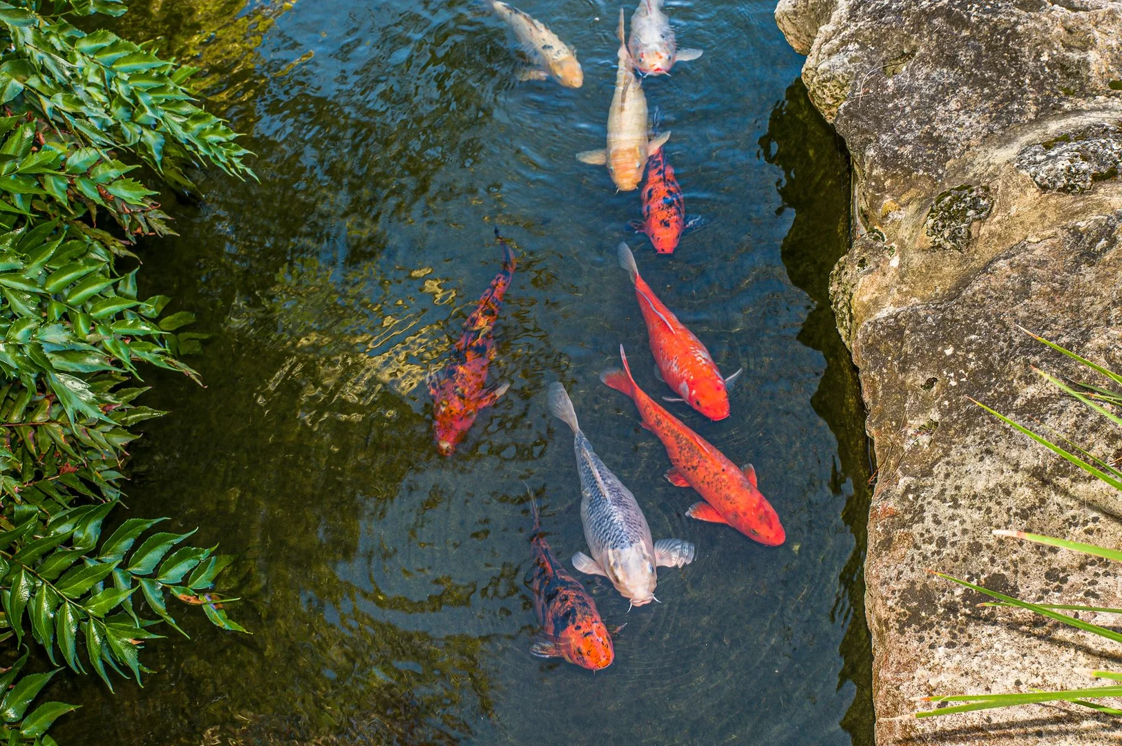 Additional image 20 of 68/177 Dampier Avenue, Kallaroo WA 6025