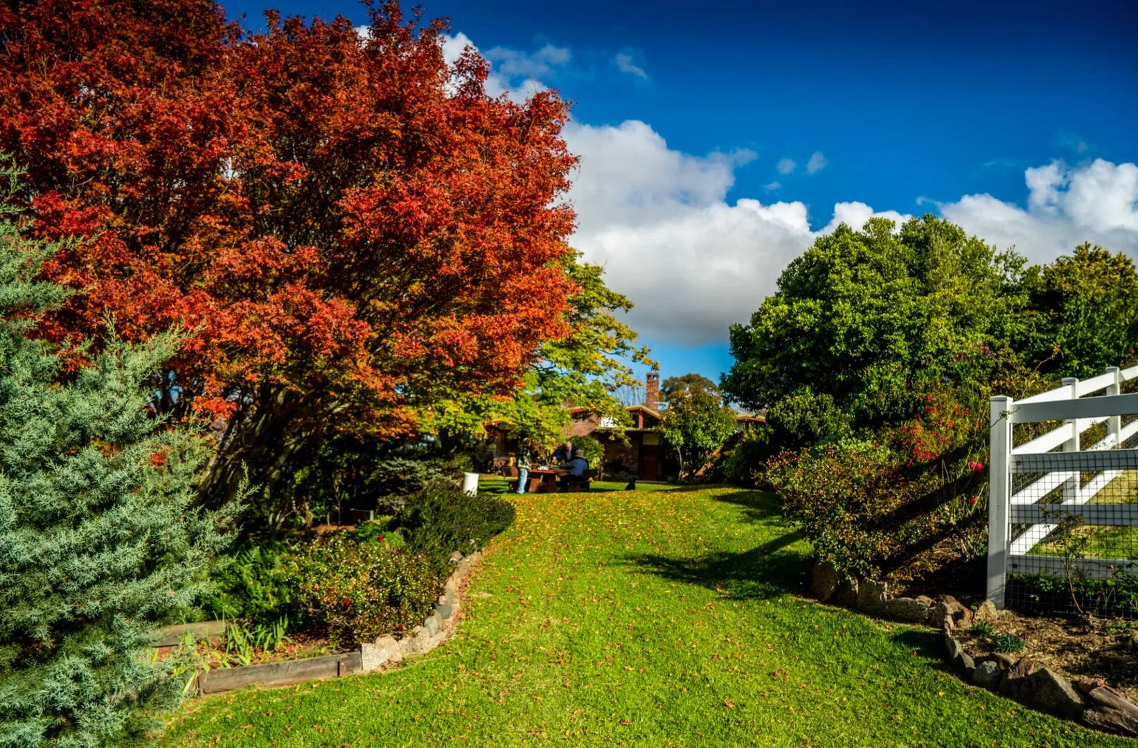 Additional image 4 of 224 Wallaroo Range Road, Willsons Downfall NSW 2372