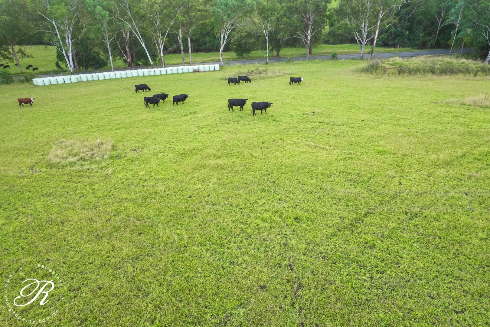 Additional image 14 of Gloucester NSW 2422