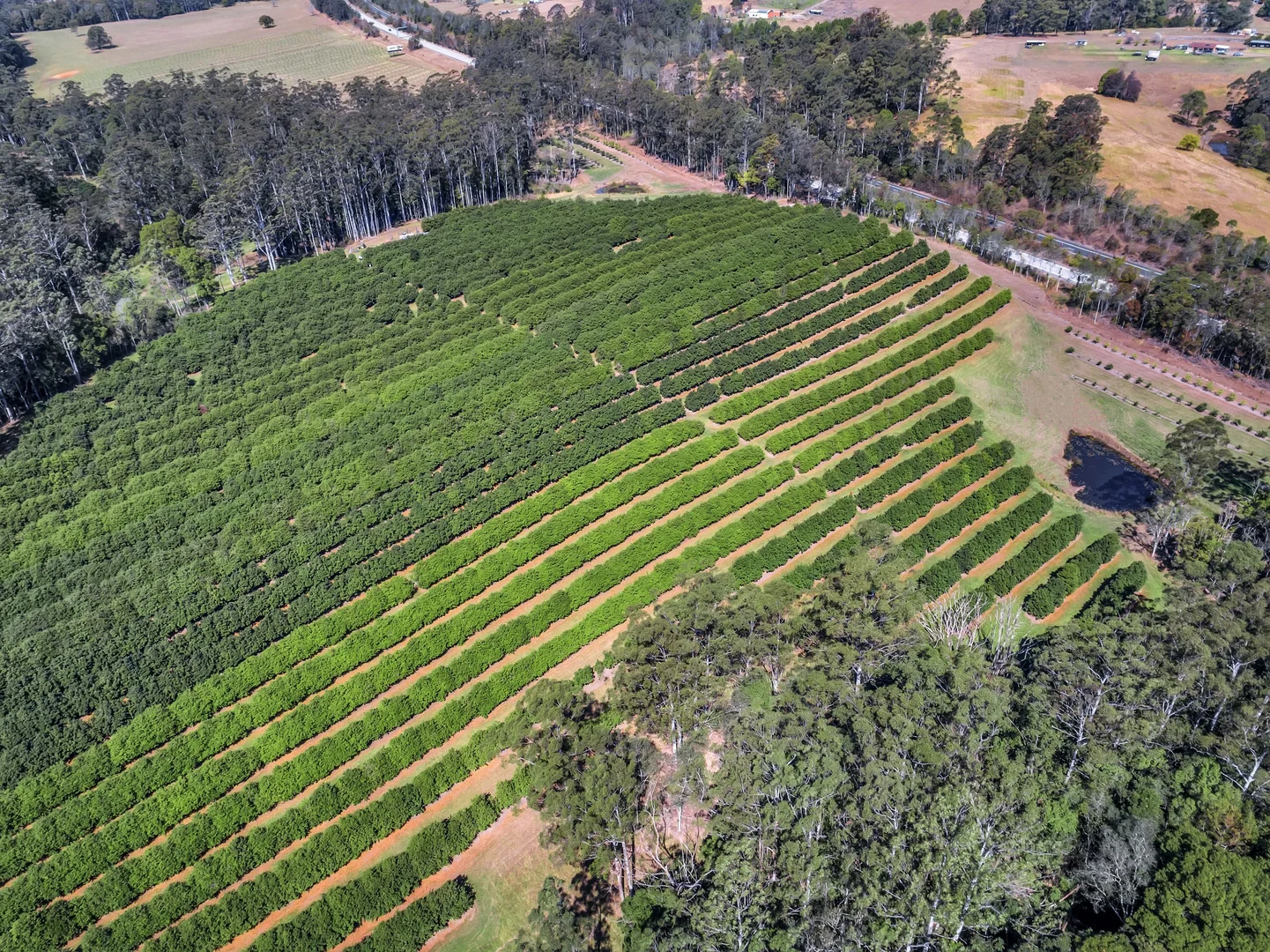 Additional image 14 of Pacific Highway, Eungai Creek NSW 2441