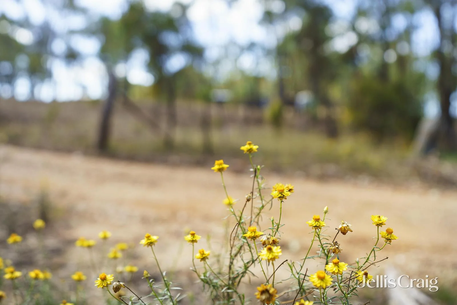 Additional image 31 of 64 Sells Lane, Maldon VIC 3463