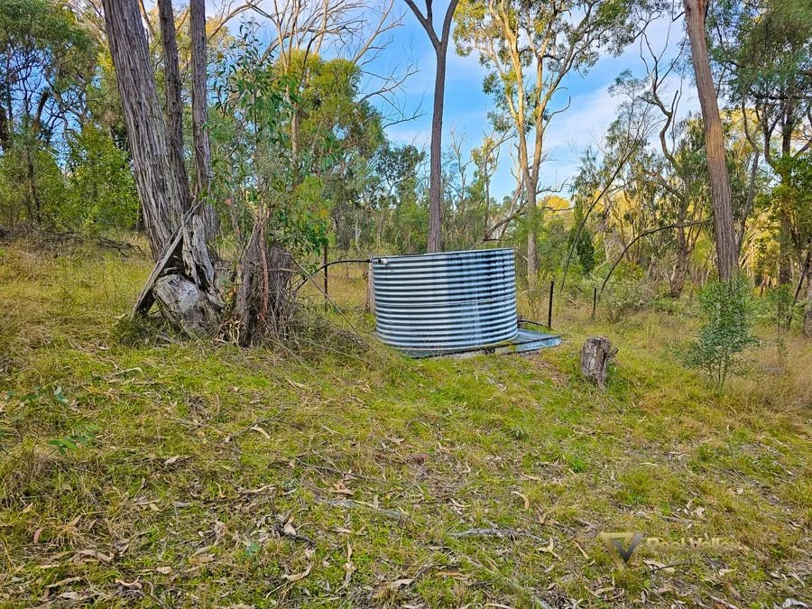 Additional image 22 of 829 New England Gully Road, Moonbi NSW 2353