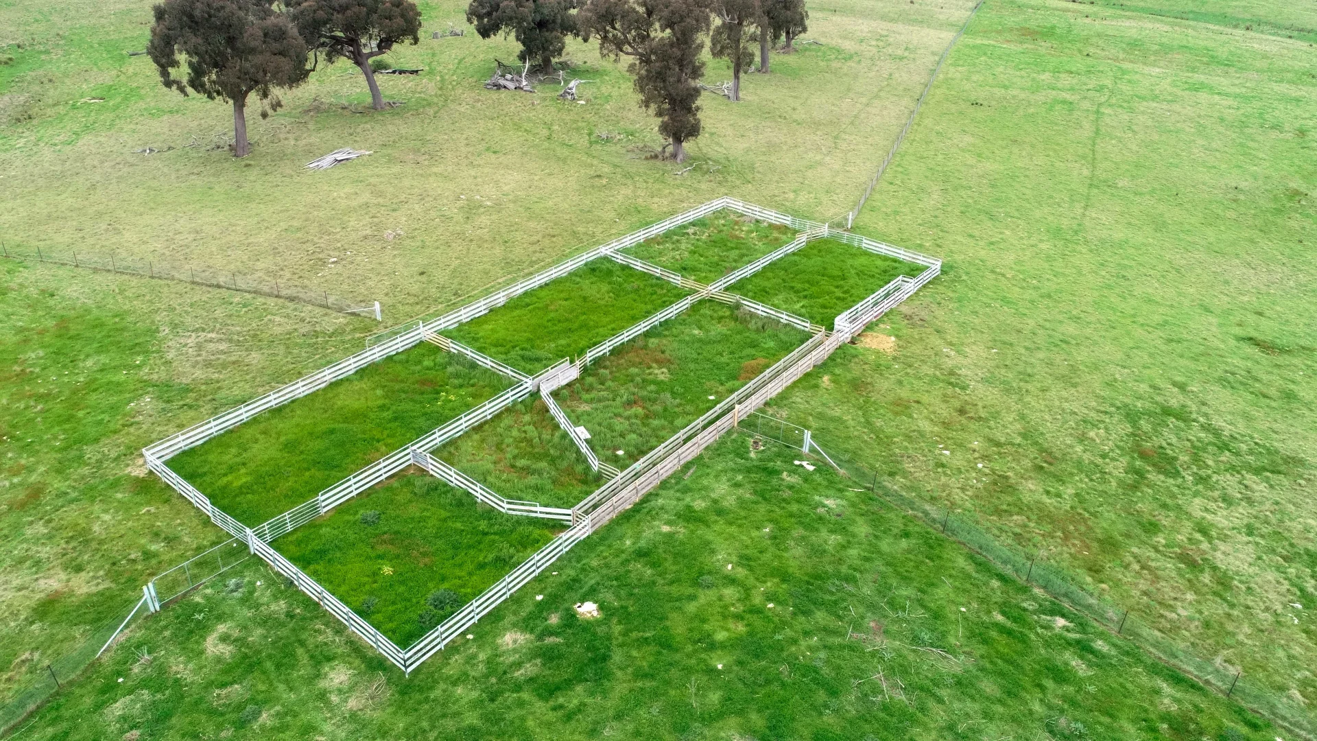 Additional image 3 of 674 Kangaloolah Road, Binda NSW 2583