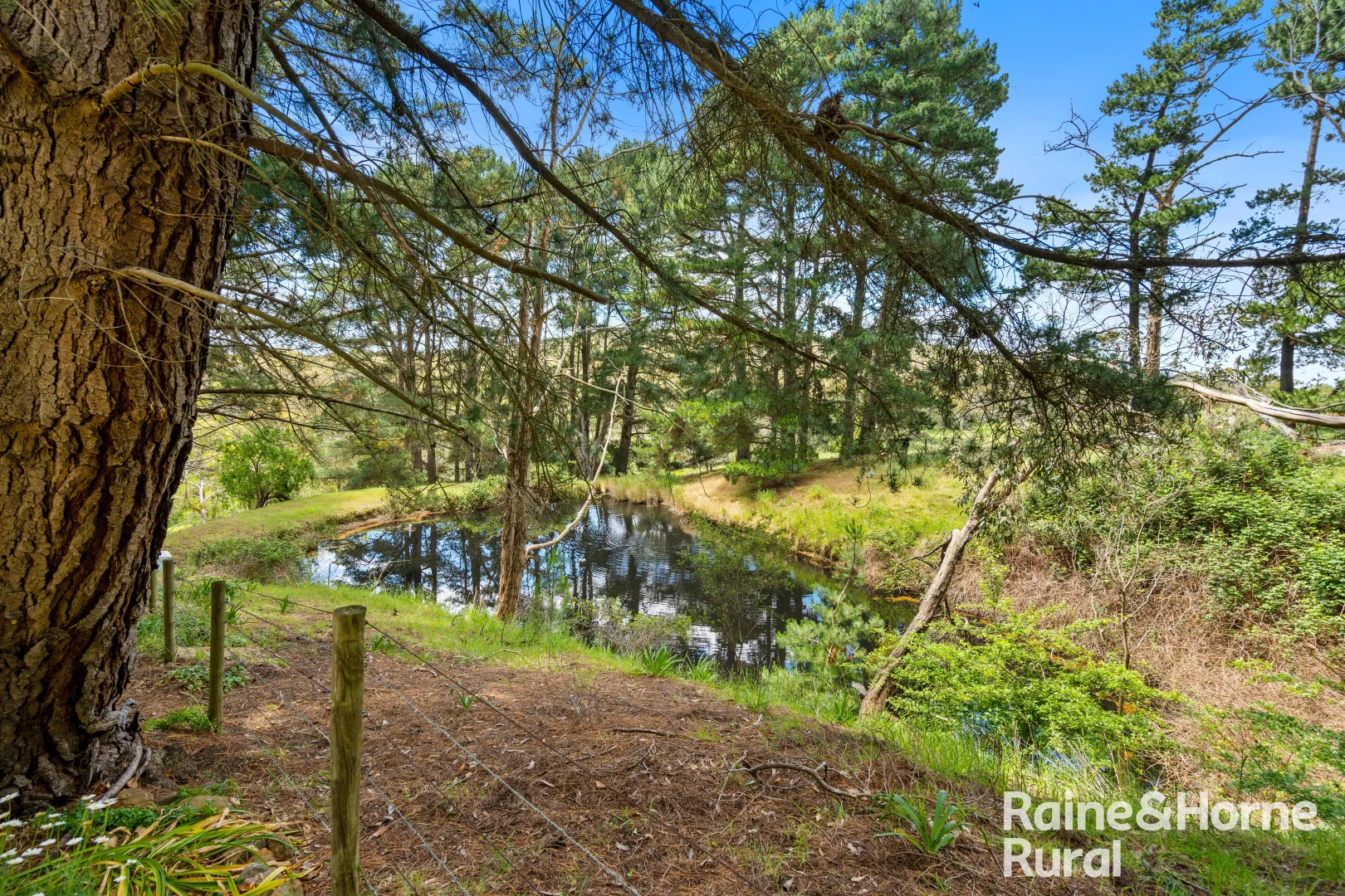 Additional image 36 of 83 Cressbrook Road, Hindmarsh Valley SA 5211