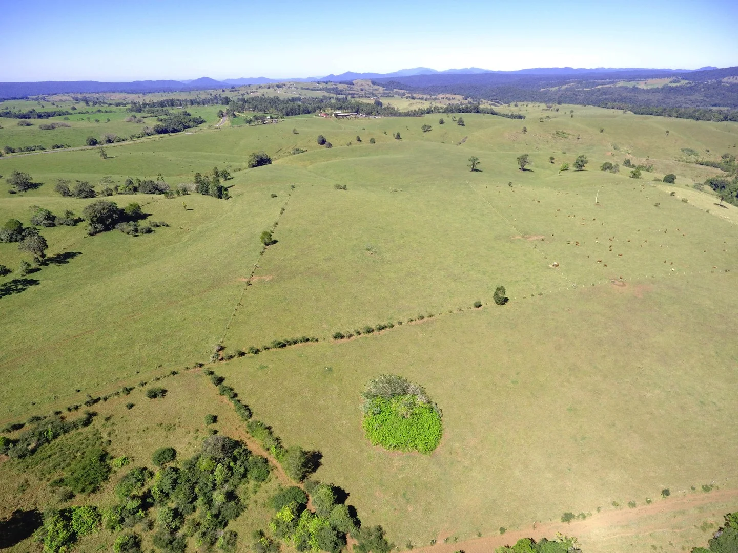 Millaa Millaa QLD 4886