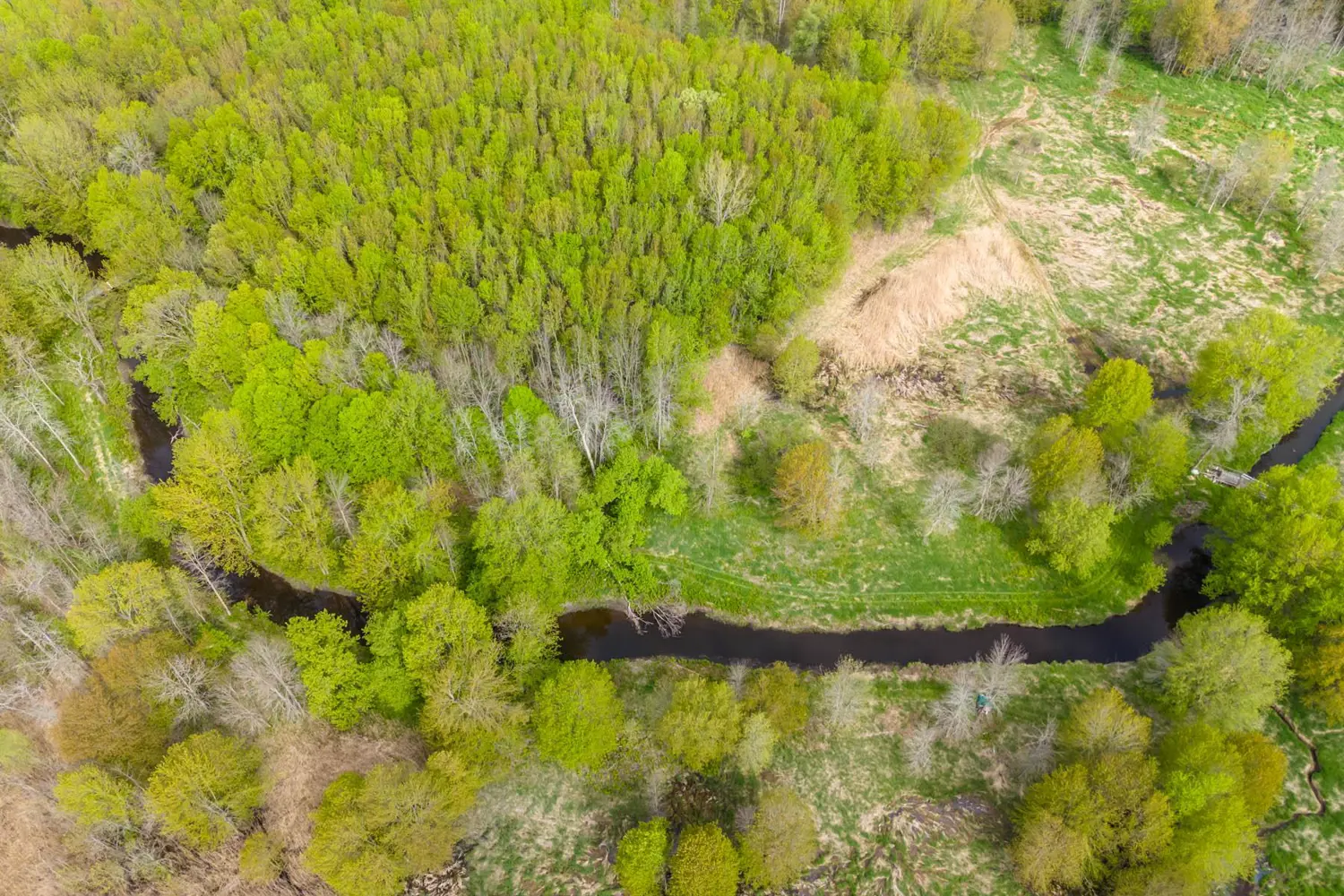 Additional image 12 of 18668 Concession 2 Road