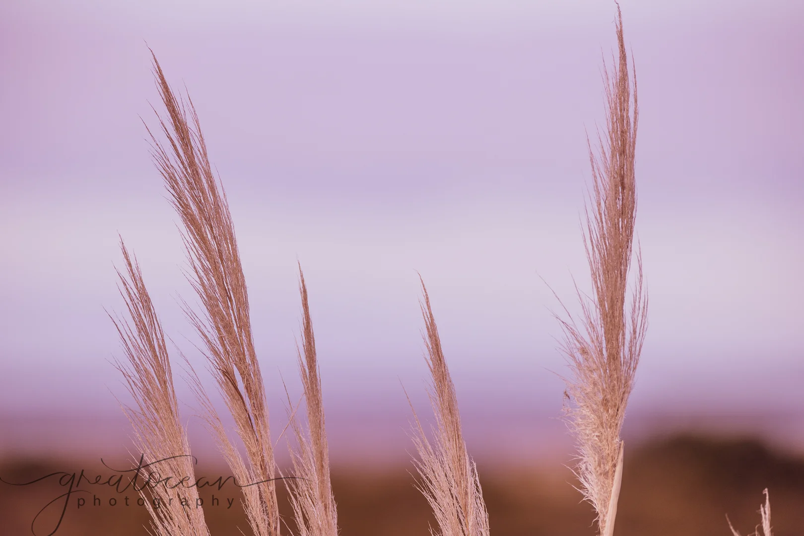 Additional image 13 of 2/21 Pengilley Avenue, Apollo Bay VIC 3233