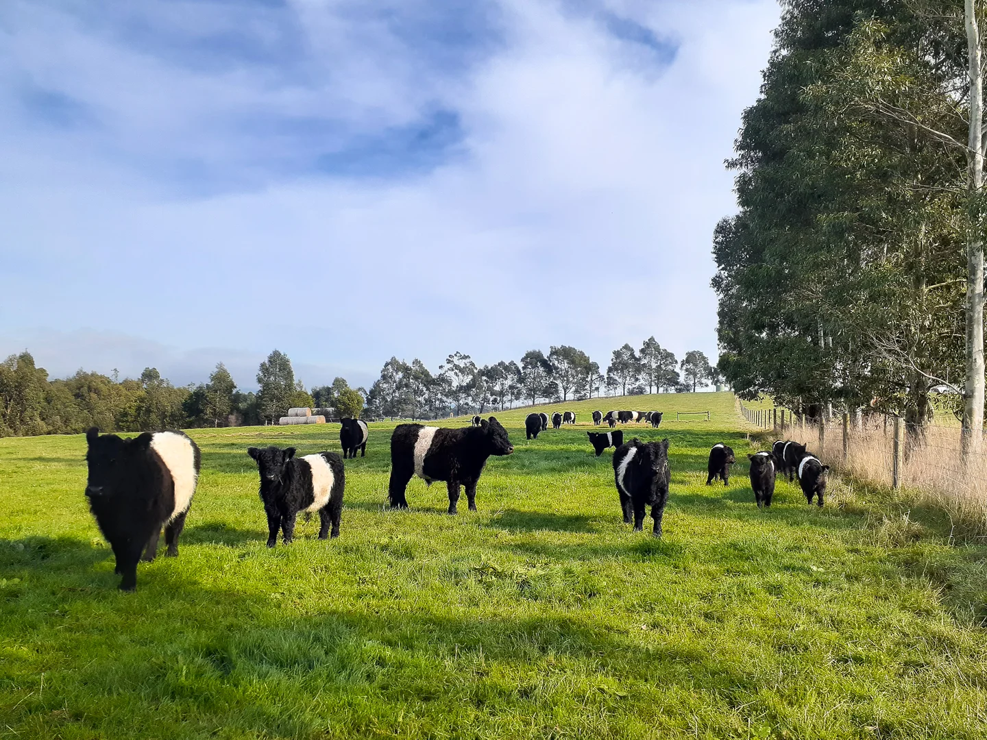 Additional image 26 of 426 Yarragon Leongatha Road, Yarragon VIC 3823