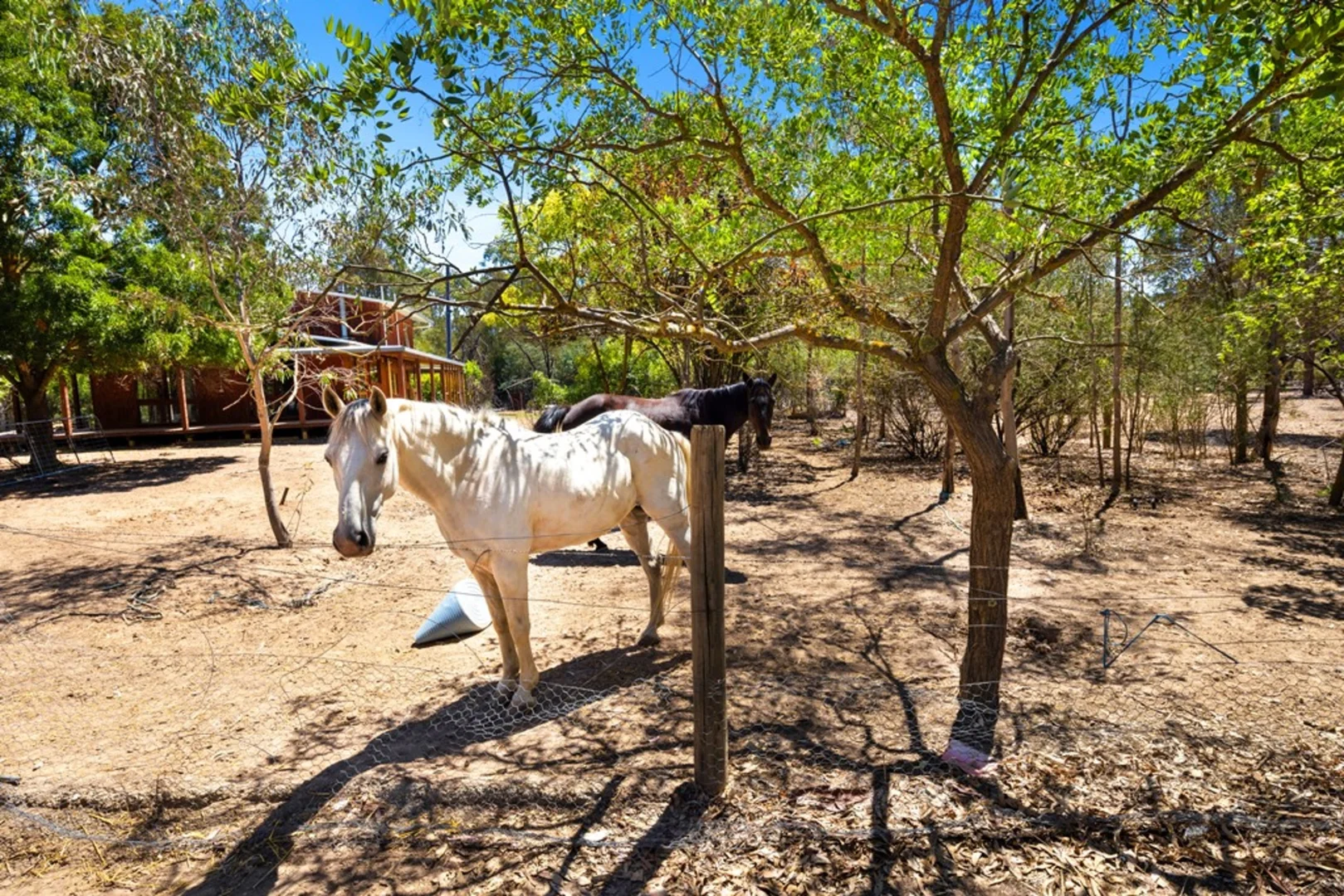 Additional image 12 of 745 Lillicur Road, Lillicur VIC 3371